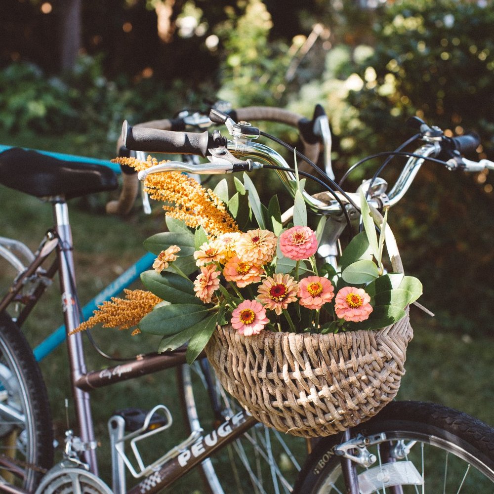 Meet your Posher, Cara